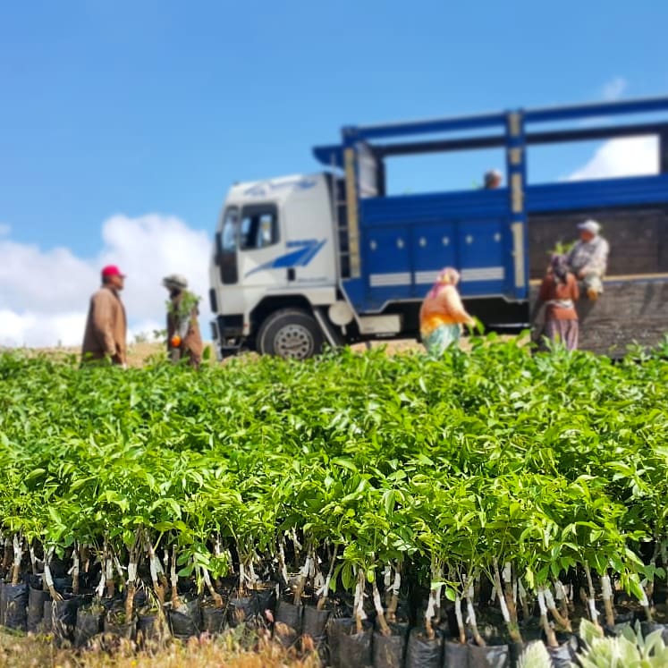 Grabbing by the Expert Team